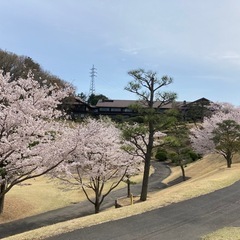 ゴルフ場キャディ業務（業務委託）｜1ラウンド11,000円〜｜直行直帰OK の画像