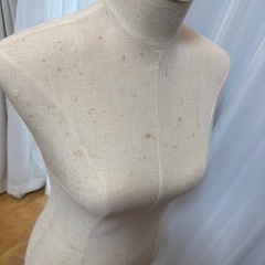 トルソー女性用の画像