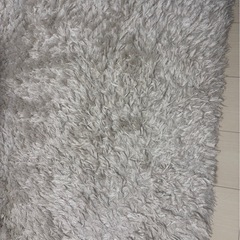 カーペットの画像