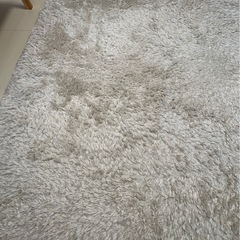 カーペットの画像