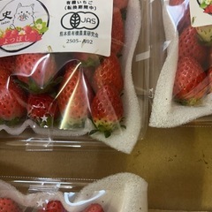 苺🍓1キロ直売しますの画像