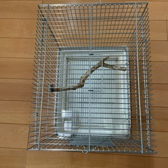 HOEI鳥ケージの画像