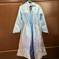 アナ雪　エルサ　ドレスの画像