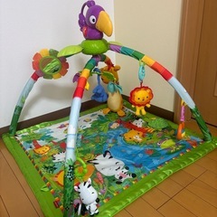 フィッシャープライス　レインフォレストデラックスジムIIの画像