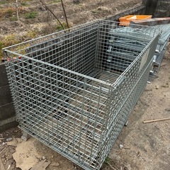 パレティーナの画像