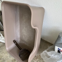 猫トイレの画像