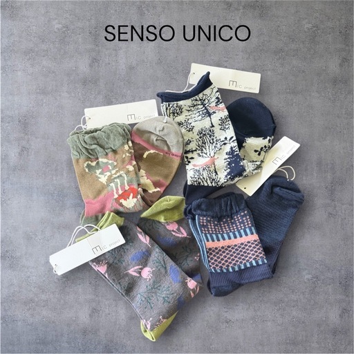 【4足SET】SENSOUNICO センソユニコ マツオインターナショナル 靴下