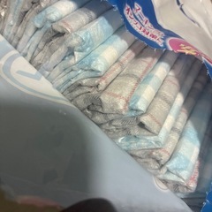 犬用オムツオス用 Sサイズ【問い合わせ中】の画像