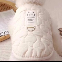 犬のお洋服の画像