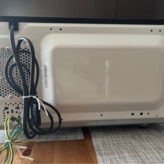 【電子レンジ】TWINBIRD DR-E273の画像