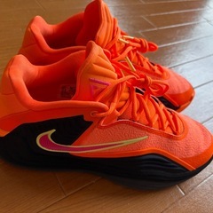 Nike Freak 7 ヤニスEPバスケットシューズ 室内使用 美品の画像