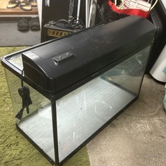 NISSO 水槽 約60cm ガラス水槽 の画像