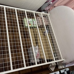 最終値下げフランフランベットフレームの画像