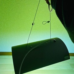 水槽、植物照明の画像