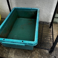 トロ舟2個　メダカプラ鉢、サイズ違い2個　　の画像