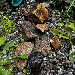 トロ舟2個　メダカプラ鉢、サイズ違い2個　　の画像