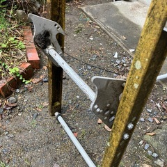 【決定】ハシゴ　梯子の画像