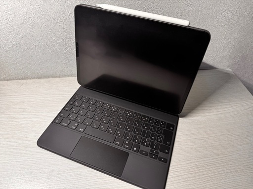 【全国発送可】ipad Pro 11インチ 第2世代 1TB