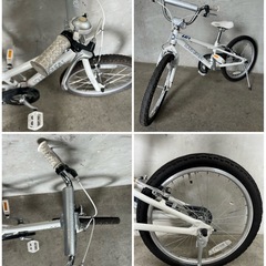 NO.238 子供自転車 LOUIS GARNEAU LGS-k20 ルイガノ  20インチの画像