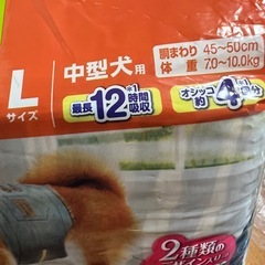 マナーウェア 2袋セット　長時間オムツ Lサイズ 中型犬用の画像