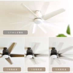 シーリングファンライトの画像