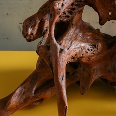 流木 インテリア 置物 飾り 自然 木製 アート オブジェ ディスプレイ の画像