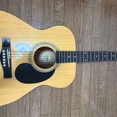 アコースティックギター Lumber LFG10NAの画像