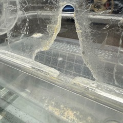 ハムスター用ケージの画像