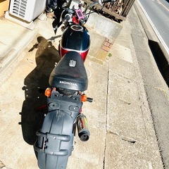 HONDA エイプ50の画像