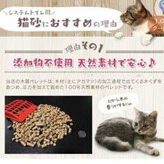 猫砂　木質ペレット　10kg✖︎2袋　　その2️⃣の画像