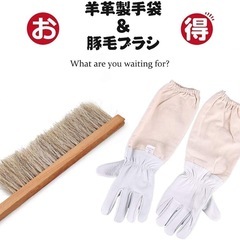 ハチ防護服 防護服 養蜂器具 蜂 スズメバチ 駆除 害虫駆除 一体式 ブラシ手袋の画像