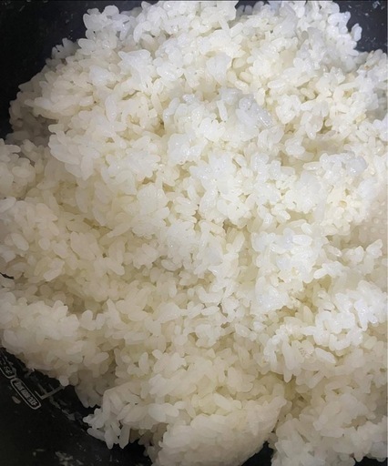 日本新米10kg/5300円