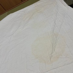 イブル生地 ファミリー敷パットの画像