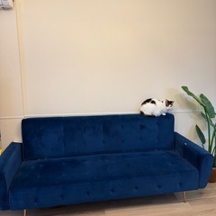 3人掛けソファ　noce ノーチェ　ベロアの画像