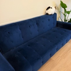 3人掛けソファ　noce ノーチェ　ベロアの画像