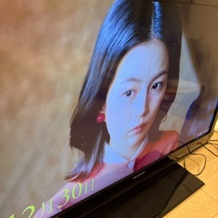 テレビの画像