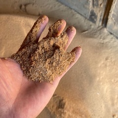 製材の大鋸屑の画像