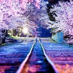 🌸友達募集🌸