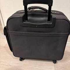 EZ SWANY キャリーバッグ　訳ありの画像