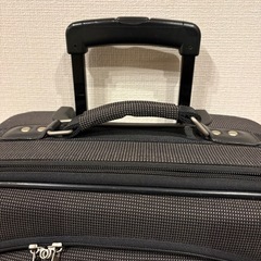 EZ SWANY キャリーバッグ　訳ありの画像