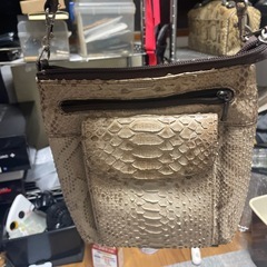 手提げバッグパイソンの画像