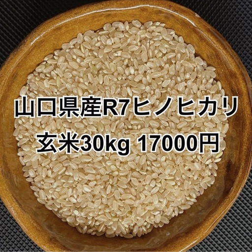 【お米②】山口県産R7ヒノヒカリ玄米30kg 17000円
