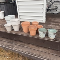 特大アガベと植木鉢多数の画像