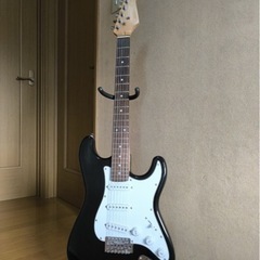 初心者おすすめ
SELDERロゴ消　エレキギター の画像