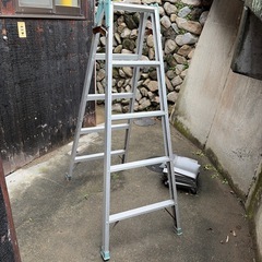 脚立５段の画像