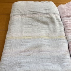 西川リビングタオルケット2枚の画像