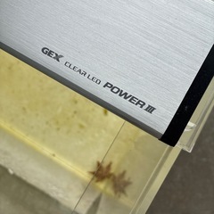 GEX CLEAR LED POWERⅢの画像