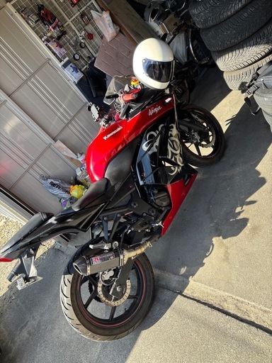 ニンジャ250r