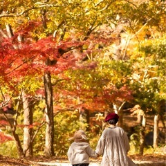 ワンピース　ベージュ120の画像