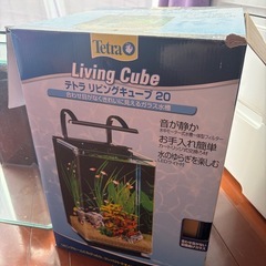 20L水槽　アクアリウム
の画像